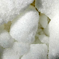 Camphor Camphor