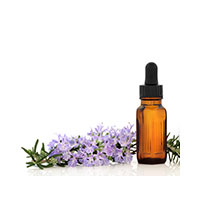 Essential Oil Essential Oil