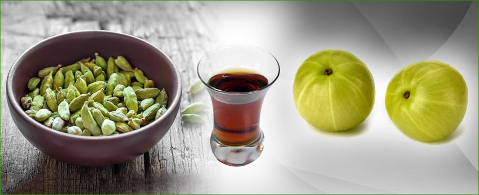 Herbal Extracts Manufacturers In Delhi