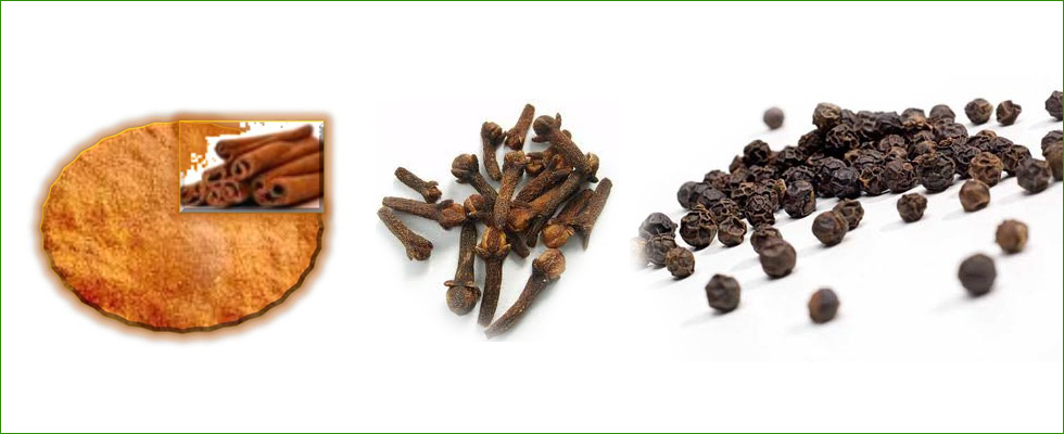Herbal Extracts Manufacturers In Delhi