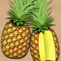 Fruit Pulp Fruit Pulp