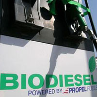 Biodiesel Fuel Biodiesel Fuel