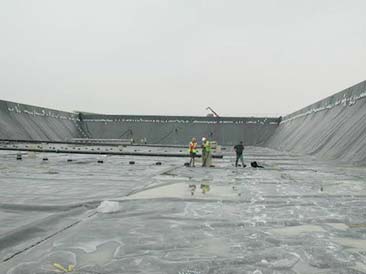 Geomembrane