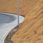 Geotextile