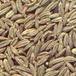 Fennel Seeds (big)