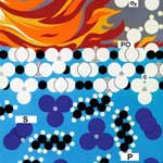 Brominated Flame Retardant