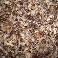 Dry Amla (02)