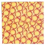 Ion Exchange Resins