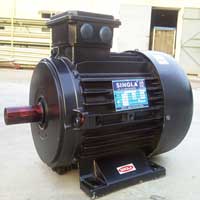 AC Induction Motor AC Induction Motor