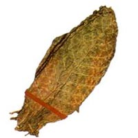 Air Cured Tobacco Air Cured Tobacco