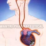 Heart and Brain Medicine