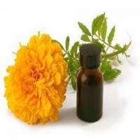 Essential Oil Essential Oil