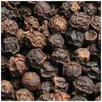Black Pepper Seeds