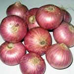 Fresh Onion Fresh Onion