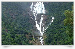 Goa Property Goa Property