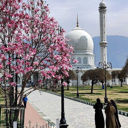 Srinagar Tour Packages