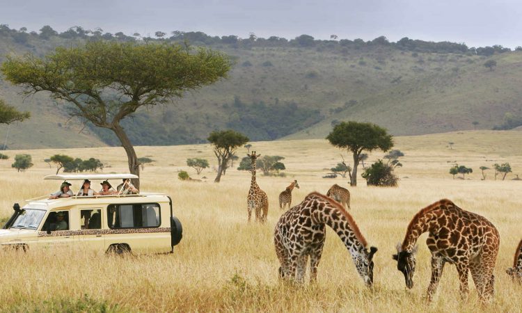 Jeep Safari Tour Packages