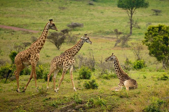 Arusha Tour Packages