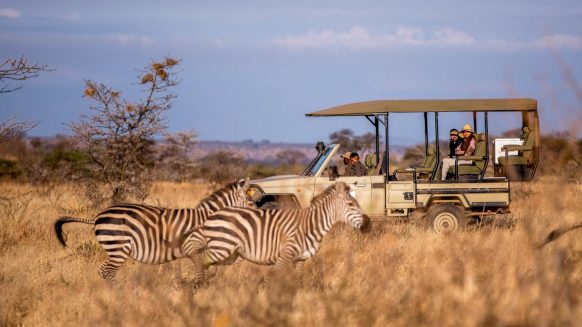 Game Drives Tour Packages