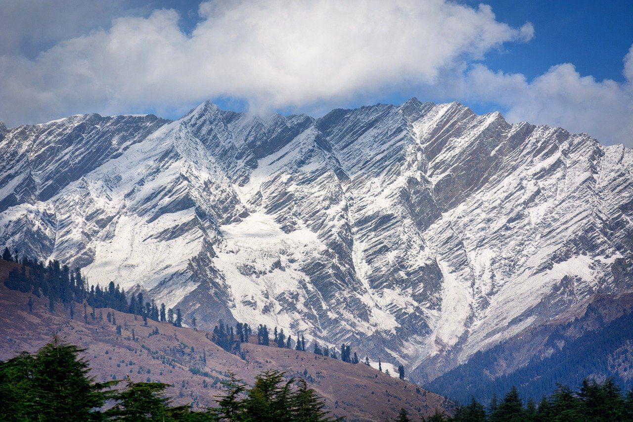 Sightseeing Tour Packages