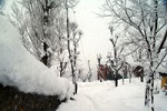 Gulmarg Gulmarg