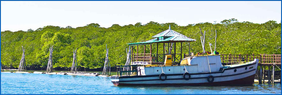 Andaman Holidays Andaman Budget Hotels Port Blair Car Rentals