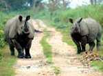Kaziranga Kaziranga