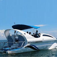 Andaman Dolphin Andaman Dolphin