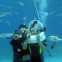Undersea Walking Undersea Walking