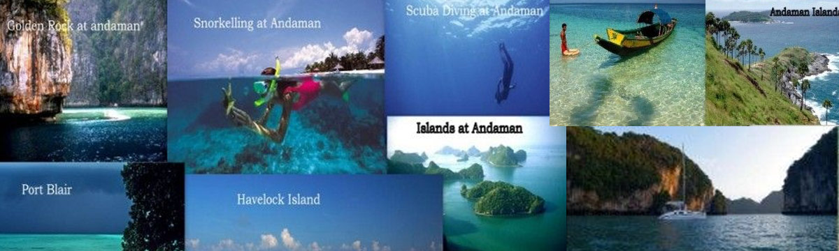 Sun Rise Travel Tour Operator In Port Blair Car Rental India