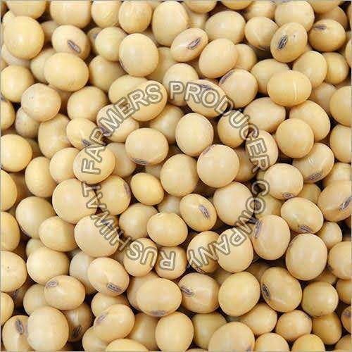 Top 10 Health Benefits of Soybean