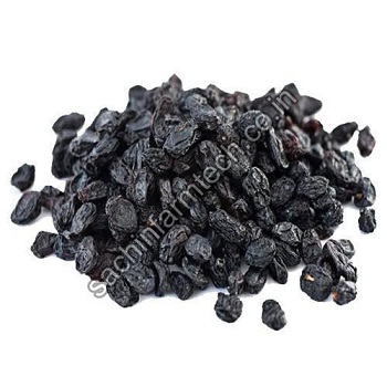 Amazing Health Benefits of Raisins: Good For Every Age Group