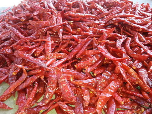334 Red Chilli - sets your taste on fire
