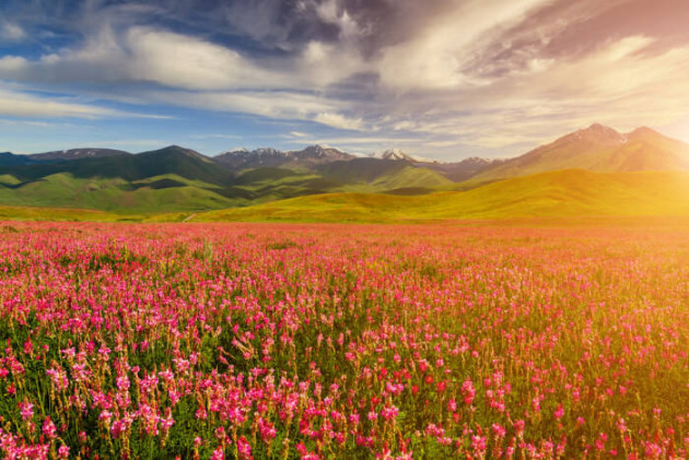 Valley of Flowers Trek