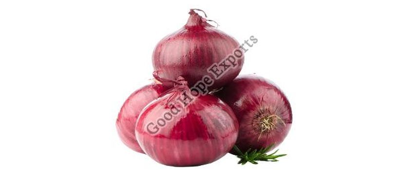 Health Benefits of Red Onions