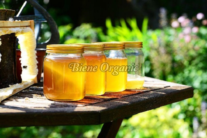 Explore the benefits of Raw Honey