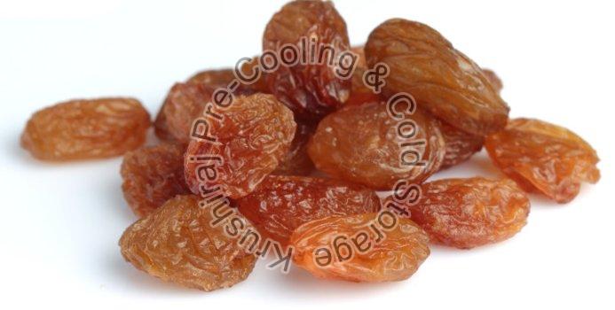 Unpack the healthy perks of brown raisins offered by Wholesale Brown Raisins Suppliers in India