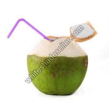 What are the Necessary Steps of Tender Coconut Cultivation?
