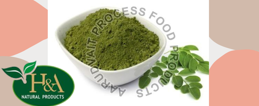 Moringa oleifera Power Importer – Explores the Benefits of Moringa products