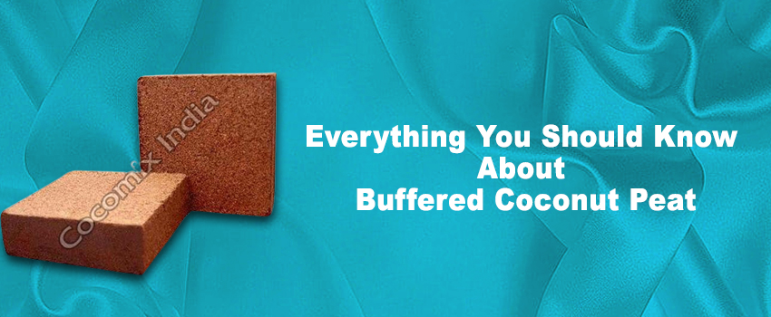 Everything You Should Know About Buffered Coconut Peat