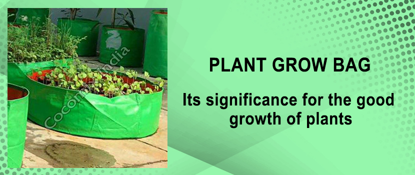 Plant Grow Bag Supplier – Its significance for the good growth of plants