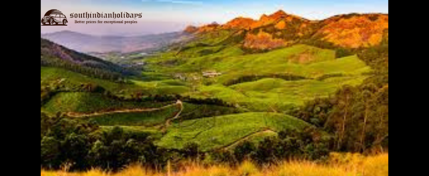 The Best Tour Package for Visiting South India