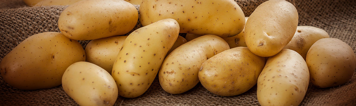 Fresh Potato: A Nutritious and Versatile Vegetable