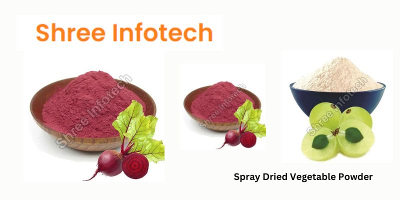 Spray Dried Vegetables Powder - Its, multiple uses in different industries