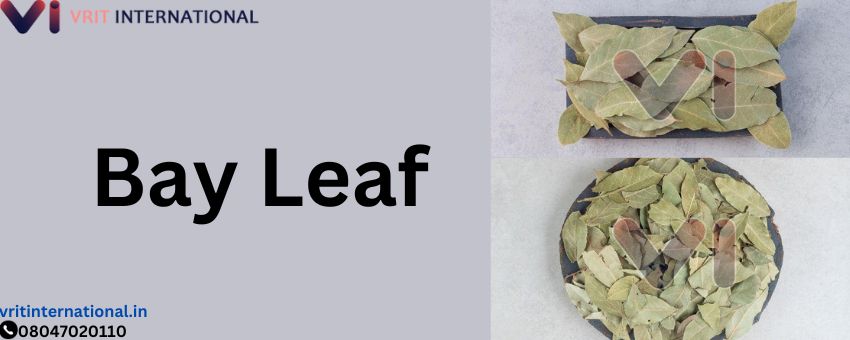 Place an order for the quality bay leaf in Gandhinagar