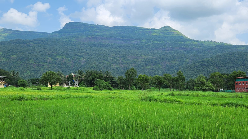 Discover Paradise: Mountain & Waterfall View Land for Sale in Karjat