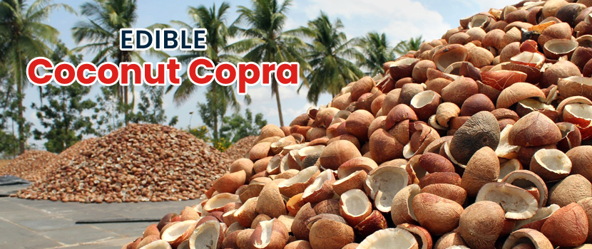 Edible Coconut Copra Trade: A Growing Market