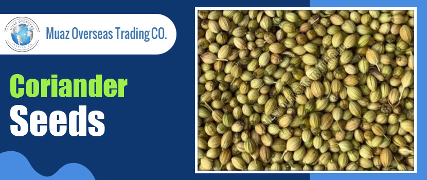 How to Spot the Right Coriander Seeds Manufacturer in India—Cracking the Code