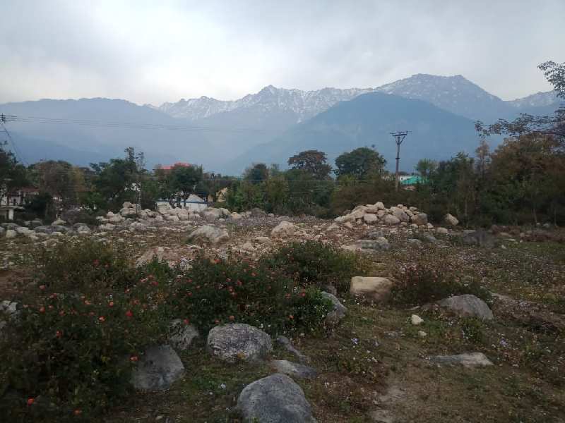 Factors to Check While Buying a Residential Land for Sale in Dharamshala