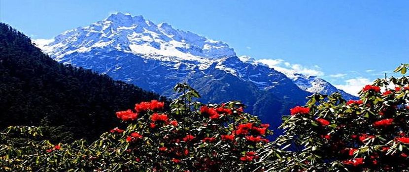 What are the Famous Attractions to See in a North Sikkim Tour Package ?